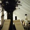 Wedding Pic 6.5.jpg