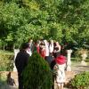 Picture 059-800.jpg