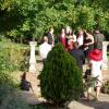Picture 060-800.jpg