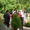 Picture 070-800.jpg